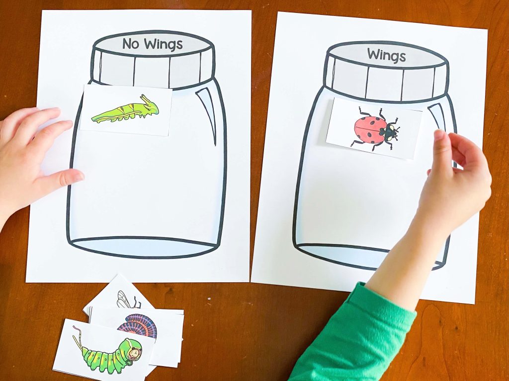 This image shows the bug sort.  A child's hand are holding bugs over the jars that are labelled no wings and wings.