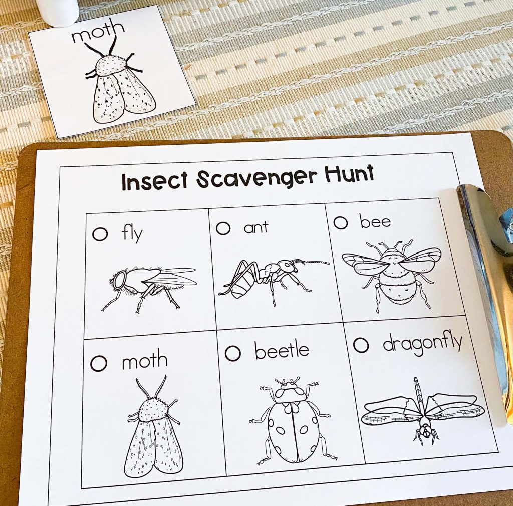 The image shows a worksheet that says insect scavenger hunt.  The sheet is on a clipboard.  There is a moth card on the table near the clipboard. 