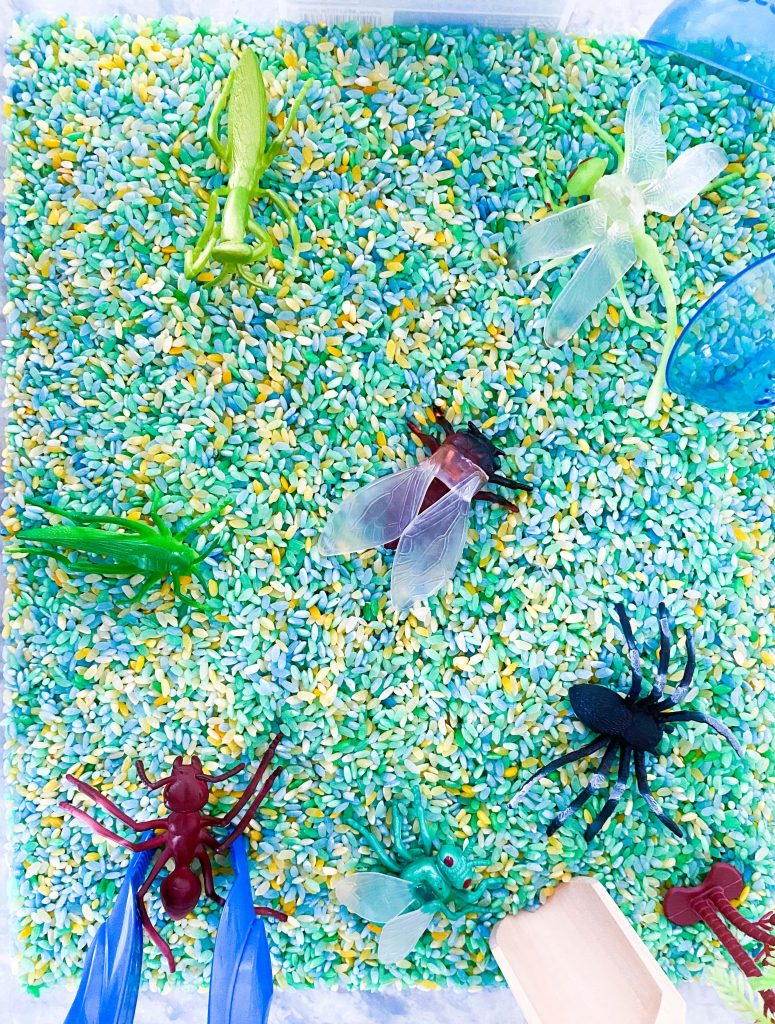 The image shows a close up of the insect sensory table.  There is colored rice and plastic insects.  Also included are wooden and plastic scoops