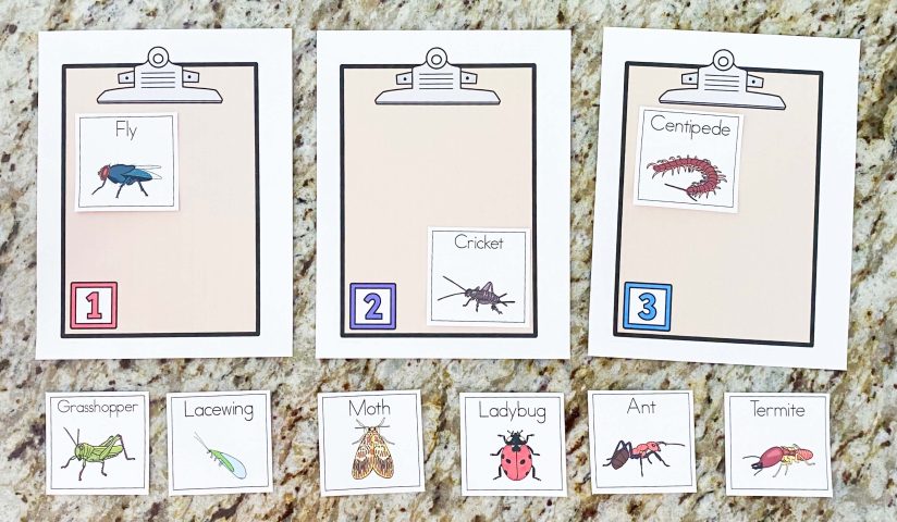 Insect Activities for Preschoolers - Endeavors in Education