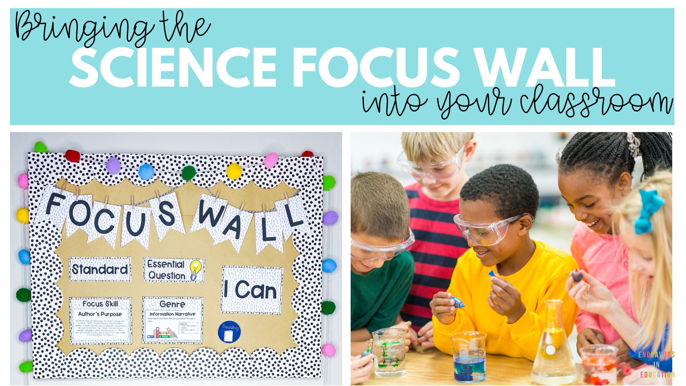 Bringing the science focus wall into your classroom is the header on this blog image. The image on the left shows a completed focus wall and the image on the right shows children working together in a science classroom